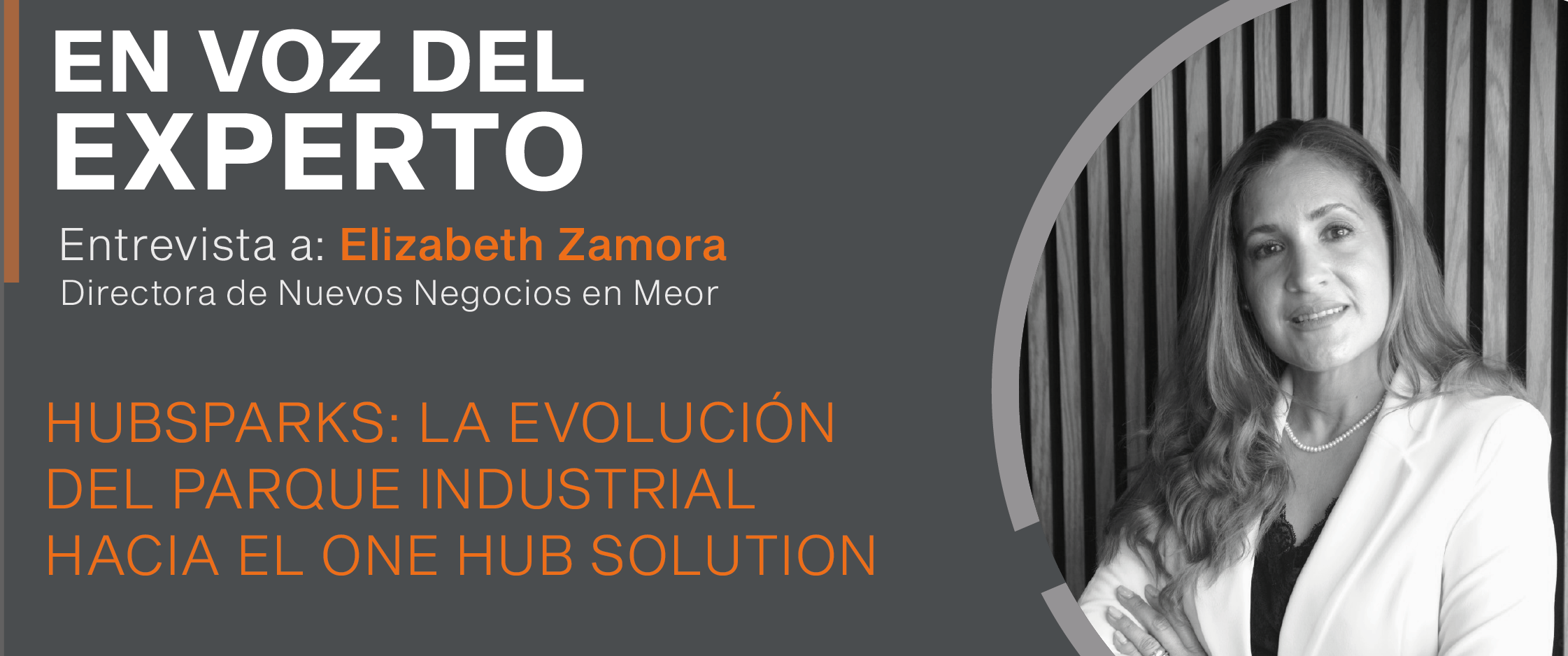 HubsParks: la evolución del parque industrial hacia el One Hub Solution  Datoz