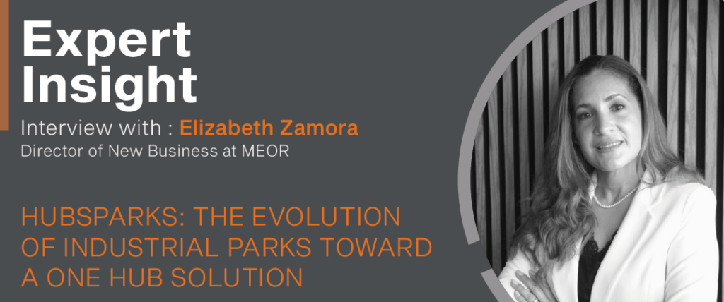 HubsParks: The Evolution of Industrial Parks Toward a One Hub Solution Datoz